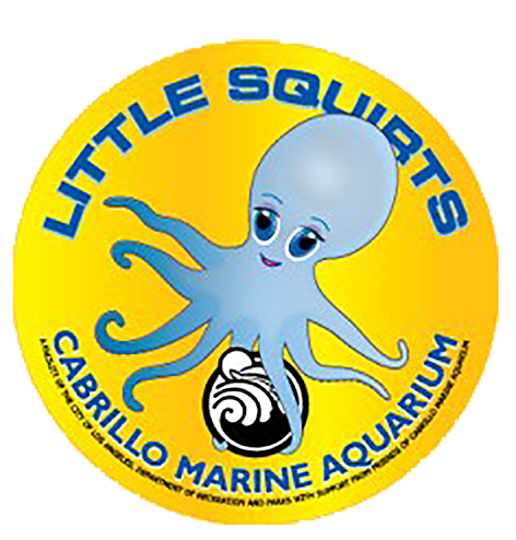 Little Squirts (Science at the Seashore)